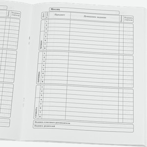 Школьный дневник для мальчиков с картонной обложкой 40л в ассортименте
