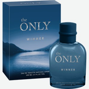 Туалетная вода Christine Lavoisier The Only Winner мужская 100мл