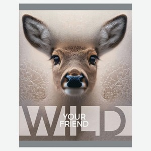 Тетрадь BG Wild А5 клетка, 40 л, 1 шт, в ассортименте