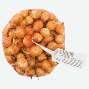 Лук севок Штуттгартер ризен, 500 г цена за 1 кг