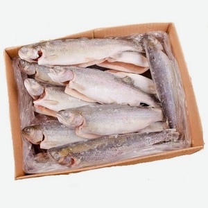 Форель радужная тушка вес сс