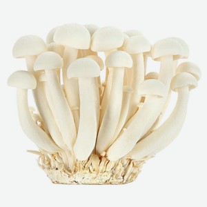 Грибы Шимеджи белые, 125 г