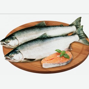 Горбуша Нр.