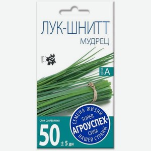 Семена Рости Лук Шнитт Мудрец 5г