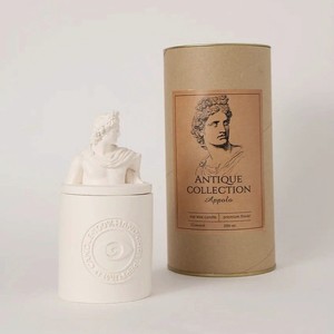 TA&KO HOME Ароматическая свеча  Аполлон  Антикварная библиотека, 1 шт.