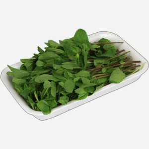 Мята Global Village свежая 20г