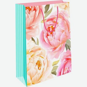 Пакет Арт Дизайн подарочный бумажный ВС 18*22.3*10см в ассортименте