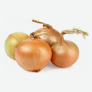 Лук репчатый, вес цена за 1 кг