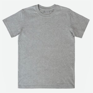 Футболка базовая для мужчин, серая, артикул ML-002/2 р.48