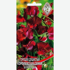 Горошек душистый Королевская семья, тёмно-бордовый