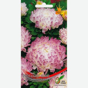 Астра пионовидная Хрустальная Башня