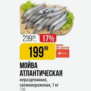 МОЙВА АТЛАНТИЧЕСКАЯ неразделанная, свежемороженая, 1 кг