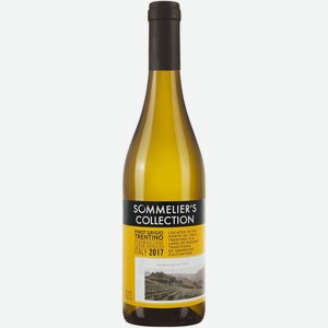 Вино Sommelier s Collection Pinot Grigio Trentino белое сухое 12.5% 0.75л, 750 мл