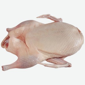 Утенок тушка 1 сорт охлажденный в/у кг