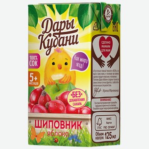 Сок ДАРЫ КУБАНИ яблоко-шиповник, 125мл