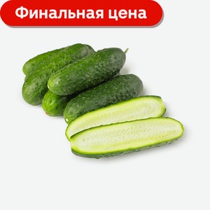 Огурцы короткоплодные пупырчатые 1 кг