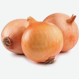 Лук фасованный