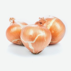 Лук репчатый 500 г