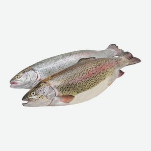 Форель радужная 500+ 500 г