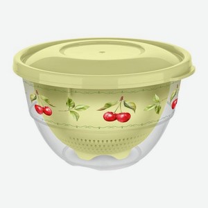 Набор Дуршлаг + Миска с крышкой 3.3л Вишня Бытпласт