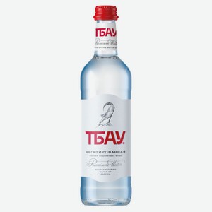 Вода питьевая «ТБАУ» Премиум минеральная негазированная, 500 мл