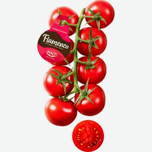 Томаты коктейльные красные ФЛАМЕНКО на ветке, весовые