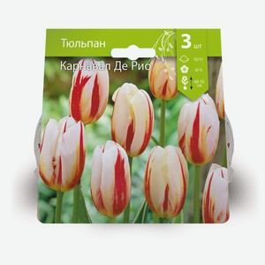 Тюльпан Карнавал Де Рио 10/11 (3шт/уп)