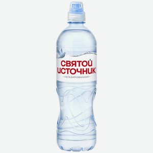 Вода Святой источник Спорт негазированная 750мл, 750 мл