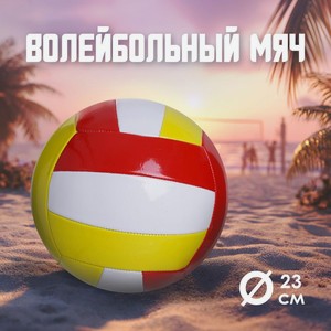 Волейбольный мяч ИМП