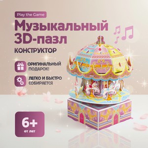 Конструктор Музыкальный 3D пазл ИМП