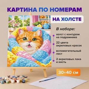 Картина по номер.на холст.Русская жив.