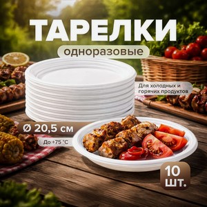 Тарелка одноразовая,20.5 см,10 шт ИнПлас
