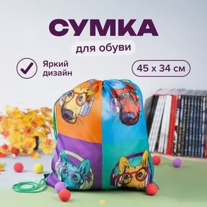 Сумка для обуви ИМП
