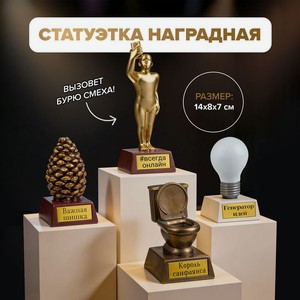Статуэтка  Герой года  ИМП