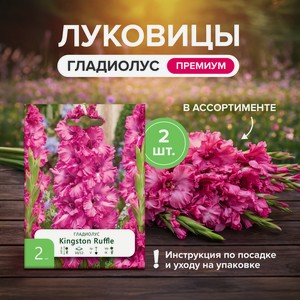 Луковицы Гладиолус Премиум, 2 шт ПФ