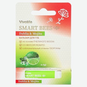 Бальзам для губ Vivolife со ароматом мохито Индия, 4 г