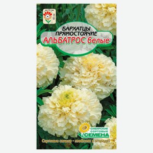 Семена «Сибирские сортовые семена» Бархатцы белые Альбатрос, 0,05 г