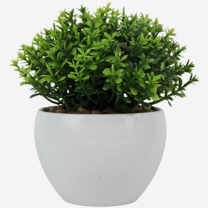 Искусственные цветы Seasons в горшке DC25070202 в ассортименте, 135 г