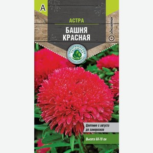 Семена Тимирязевский питомник Астра Башня Красная 2г, 2 г