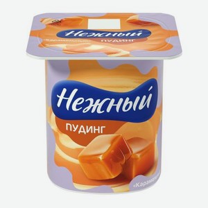 Пудинг Нежный карамельный 2.8% 100г 100 г