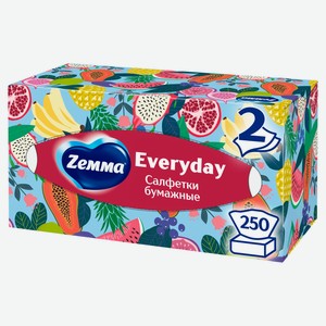 Салфетки бумажные в коробке Zemma Everyday 2 слоя, 250 шт