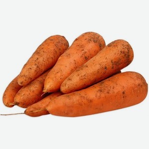 Морковь свежая, вес 500 г