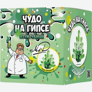 Набор для опытов Чудо на гипсе 100г