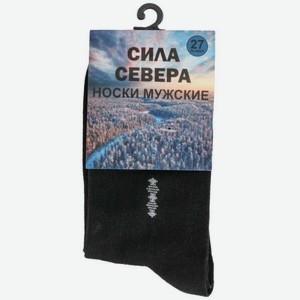 Носки мужские Большая семья демисезонные черные р.27 (41-42) 30 г