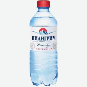 Вода минеральная Пилигрим питьевая газированная 0,5л