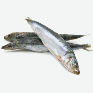 Сардина Иваси Дальневосточная Свежемороженая 1кг