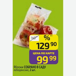 Яблоки СОБРАНО САДУ лебедянские, 2 шт.