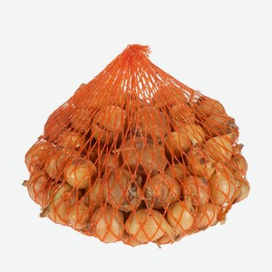 Лук-севок  Штуттгартер ризен , 250 г