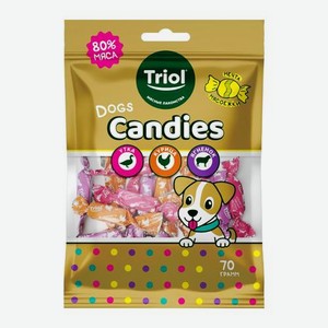 Лакомство для собак конфеты мясные Triol 70г 70 г