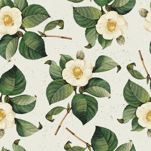 Бумага для подарков, Be Smart, 70х100 см, Flora